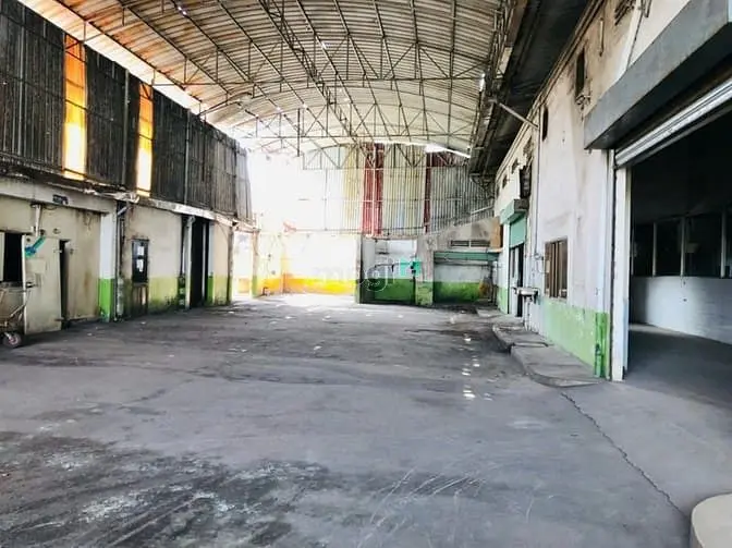 6035952 ảnh đại diện 1