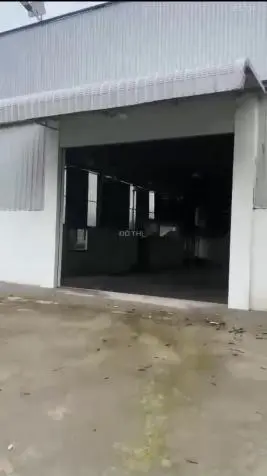 6036023 ảnh đại diện 1