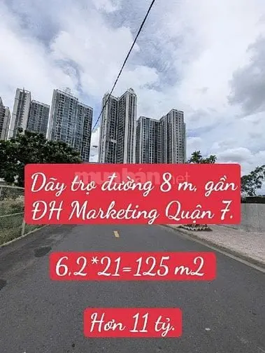 Dãy Trọ Đường 8 M Gàn Trường Đh Marketing Quận 7. 6,2*21 Hơn 11 Tỷ.