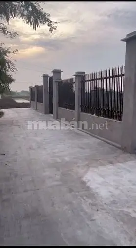 Bán Đất Mặt Tiền Đường Đoàn Bá Sở,Xã Tân Quý Tây 562M2, H.bình Chánh(2