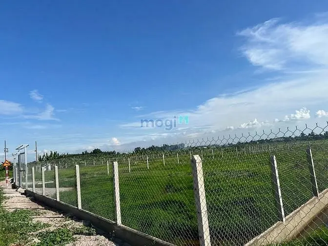 6035841 ảnh đại diện 1