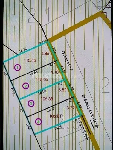 6035891 ảnh đại diện 1