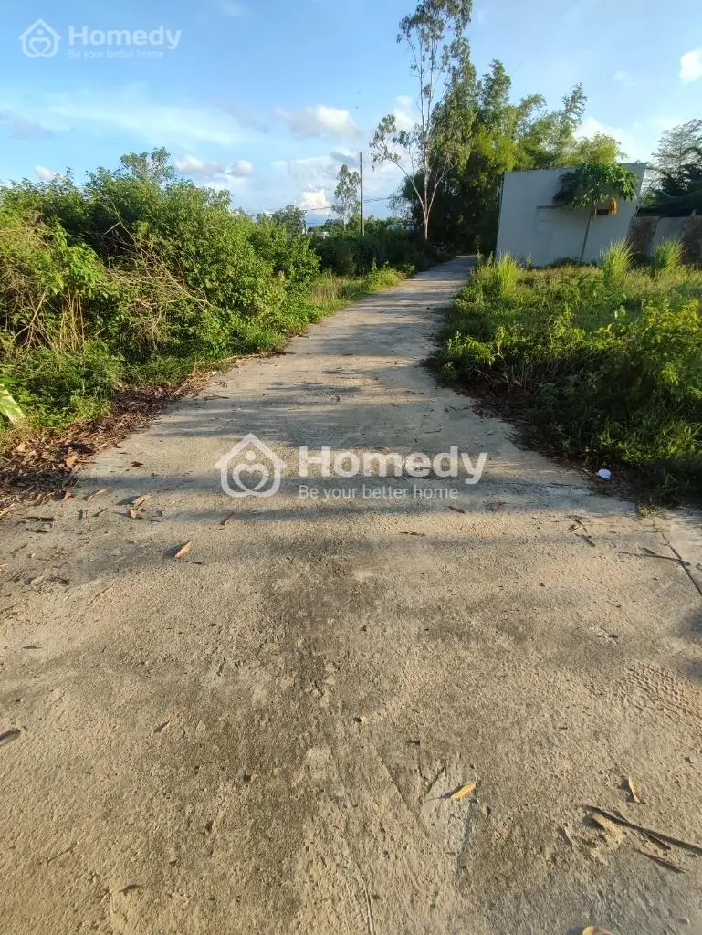 Giảm Giá 1,7 Tỷ; Cơ Hội Vàng Cho Nhà Đầu Tư Muốn Ngay-Có Thể Sang Tay "Đất Thổ Cư Diện Tích Lớn"