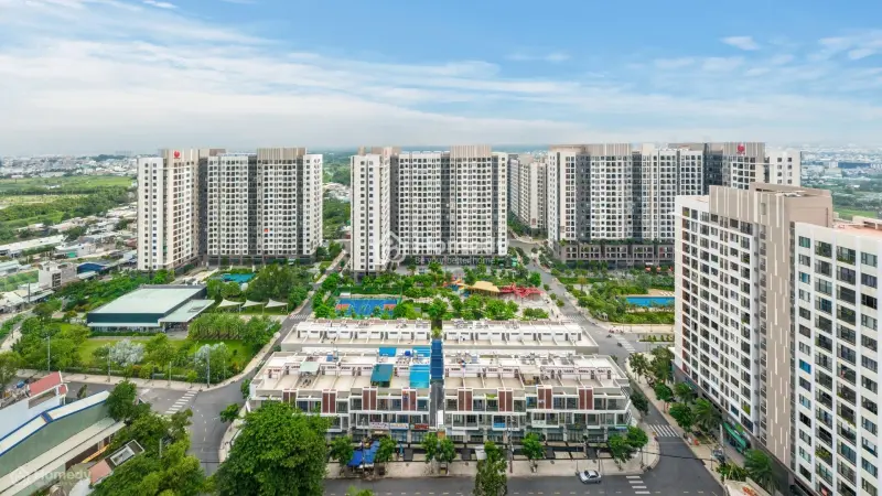 6035867 ảnh đại diện 1