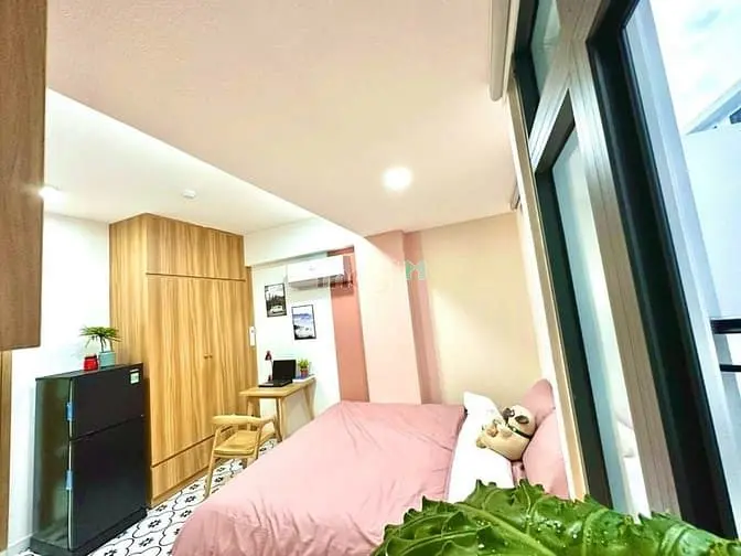 Chdv Cửa Sổ Thoáng Mát Gần Dh Maketing, Tdtu, 5P Qua Q4