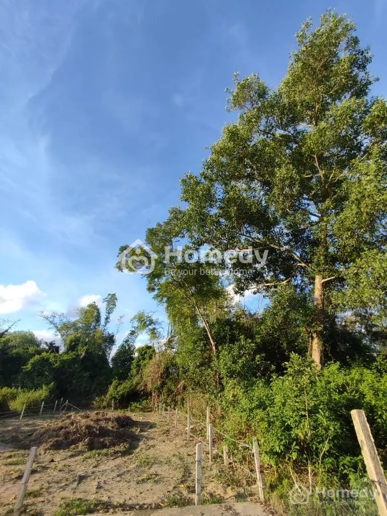 Giảm Giá 1,7 Tỷ; Cơ Hội Vàng Cho Nhà Đầu Tư Muốn Ngay-Có Thể Sang Tay "Đất Thổ Cư Diện Tích Lớn"