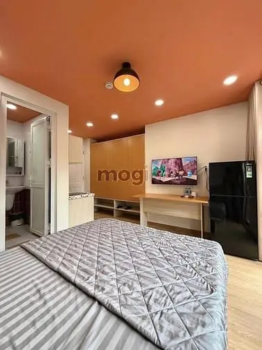Duplex Cửa Sổ Trời Mặt Tiền - Gần Tdtu, Ufm, Ntt