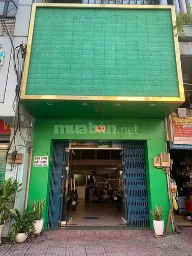 6035650 ảnh đại diện 1