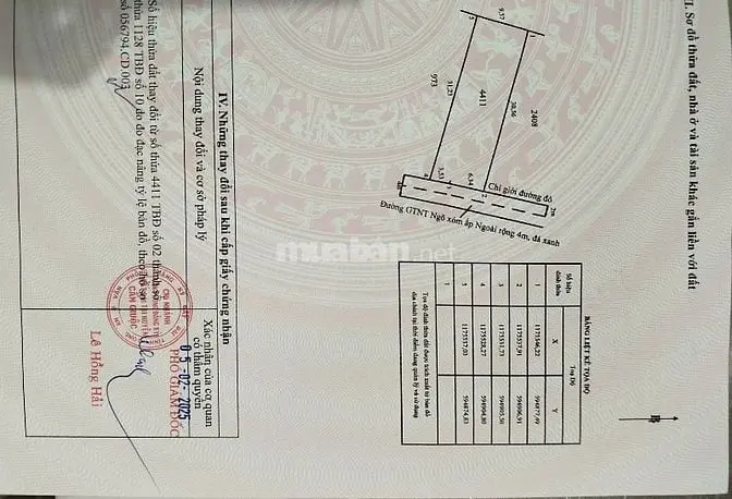 🔥 Bán Đất Thổ Cư 1.660M² Tại Phước Hậu – Cần Giuộc, Long An, Giá 8 Tỷ