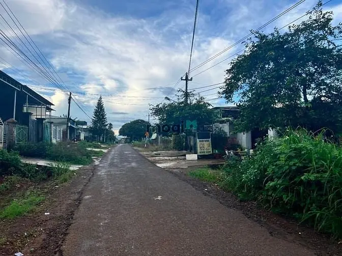 6035653 ảnh đại diện 1