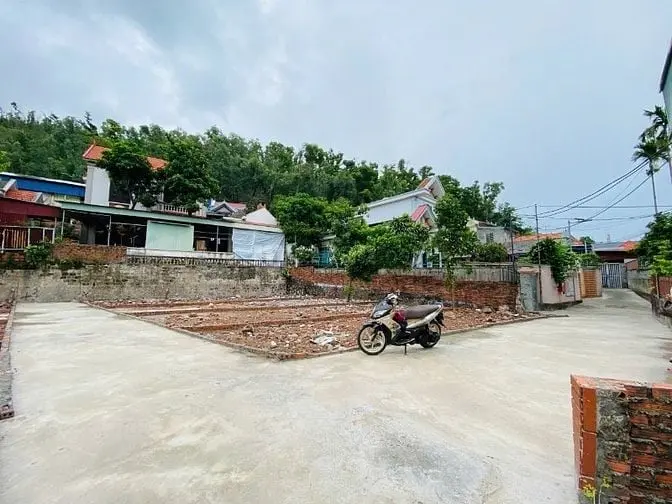 6035716 ảnh đại diện 1