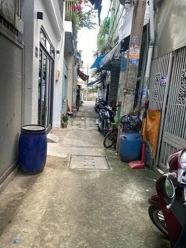 6035663 ảnh đại diện 1