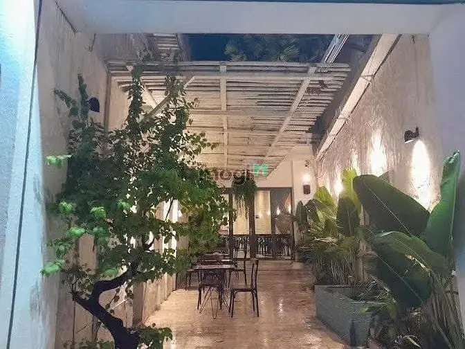 Biệt Thự Mở Cafe Mt Tú Xương, Q3. Dt: 9X25M, Kc: Trệt 1 Lầu. Gía: 90Tr