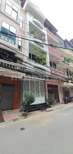 6035991 ảnh đại diện 1