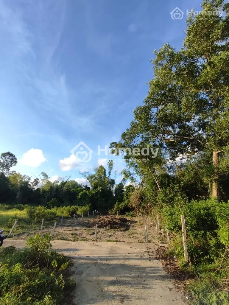 6035945 ảnh đại diện 1