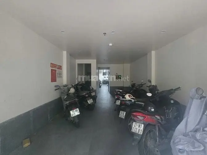 6035929 ảnh đại diện 1