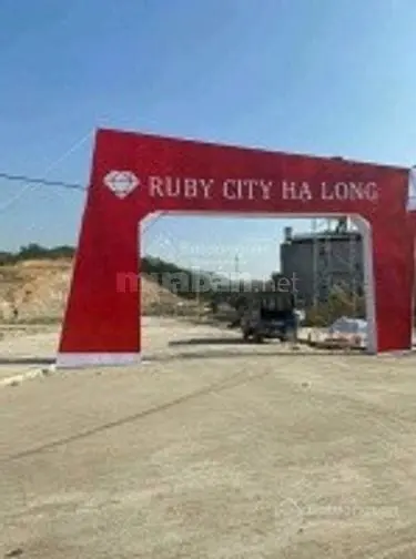 6035575 ảnh đại diện 1