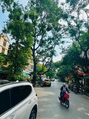 6036018 ảnh đại diện 1