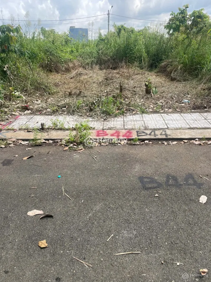 6035897 ảnh đại diện 1