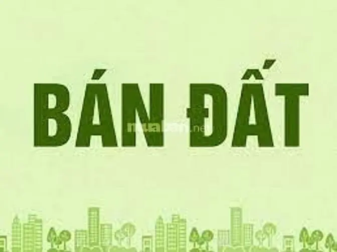 6035760 ảnh đại diện 1