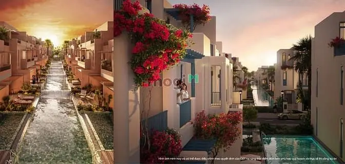 6036307 ảnh đại diện 1
