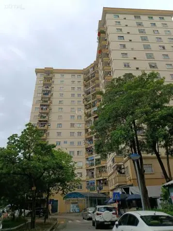 6036498 ảnh đại diện 1