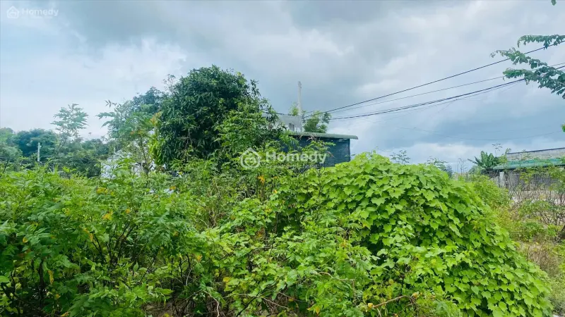 Bán 6M Đất Đường Đoàn Thị Điểm, Tân An, Lagi Giá Rẻ 226Tr/M Ngang