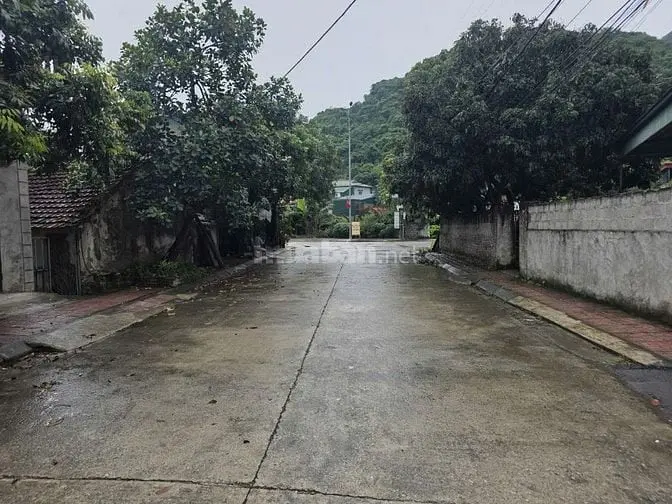 Bán Đất Mặt Sau Sát Flamingo Golden Hill, 43Tr/M2, Ba Sao - Hà Nam