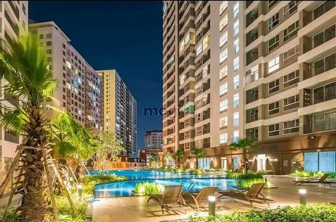 6036071 ảnh đại diện 1