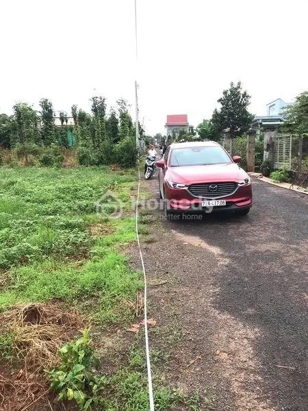 Chốt Gấp! Đất Xuyên Mộc Diện Tích Lớn, Sát Hồ Tràm, Hồ Cóc - Giá Chỉ 15,9 Tỷ
