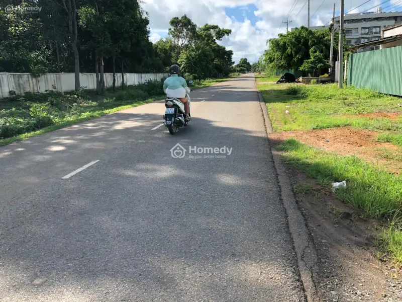 6036231 ảnh đại diện 1