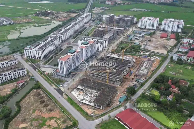 6036357 ảnh đại diện 1