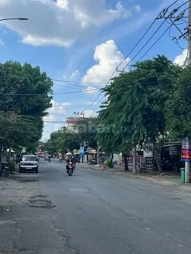 6036061 ảnh đại diện 1