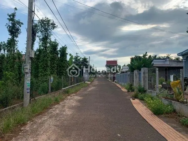 6036232 ảnh đại diện 1