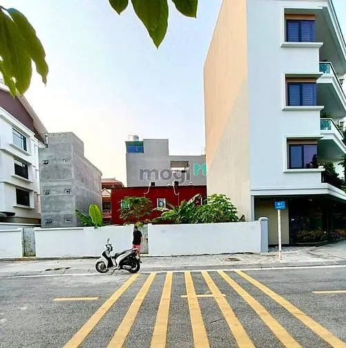 6036517 ảnh đại diện 1