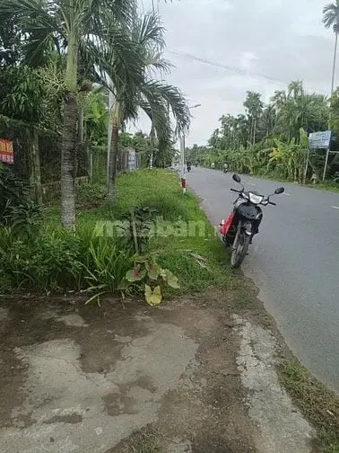 Bán Đất Xã Châu Hòa, Huyện Giồng Trôm, Tỉnh Bến Tre