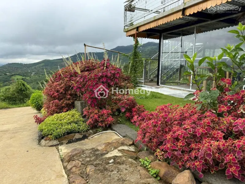 Cộng Đồng Làng Oa Và Aman Blao Bảo Lộc - Tặng Nhà Gỗ, Chỉ Từ 1,8 Triệu/M2/1000M2, Sổ Hồng Riêng