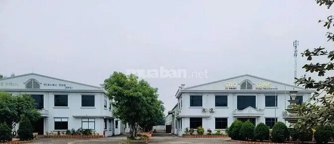 6036098 ảnh đại diện 1