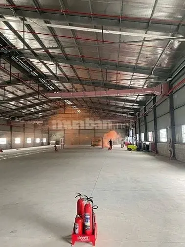 6036340 ảnh đại diện 1