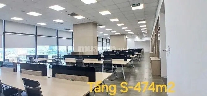 6036332 ảnh đại diện 1