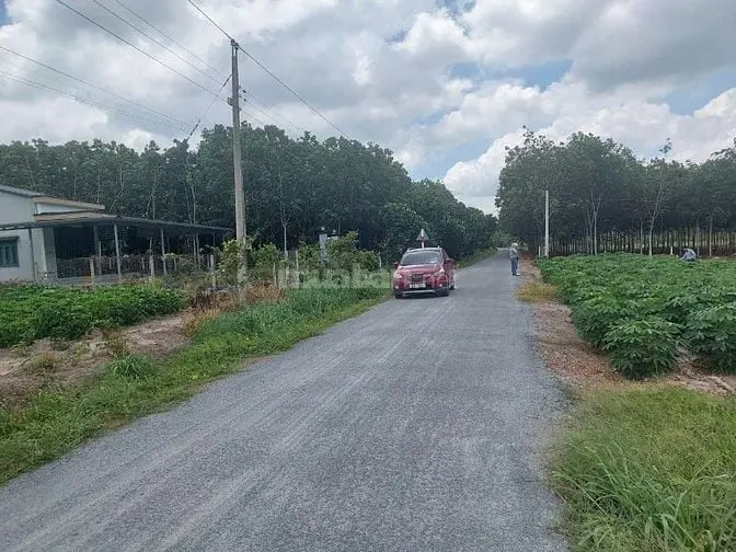 Bán Đất Shr,200M2 Sát Kcn Phước Đông, Đường Nhựa Thông,480Tr,Tây Ninh