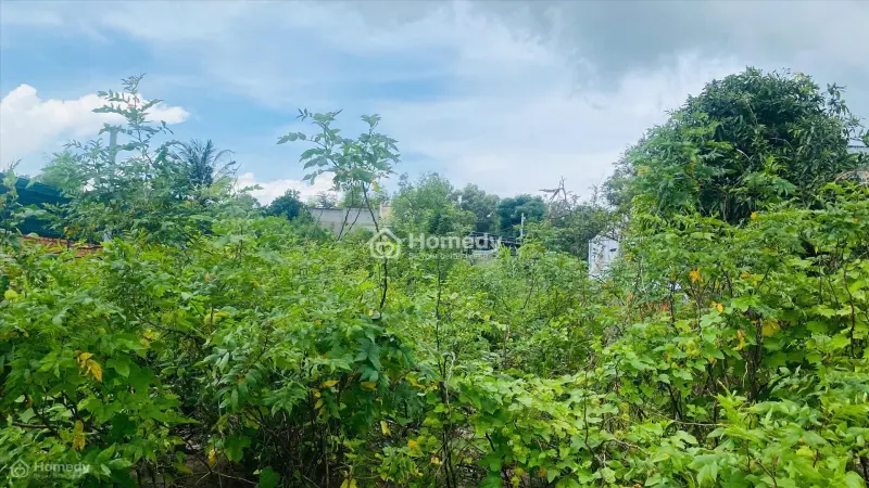 Bán 6M Đất Đường Đoàn Thị Điểm, Tân An, Lagi Giá Rẻ 226Tr/M Ngang