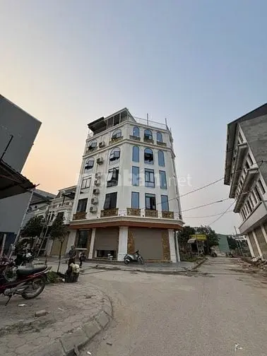 6036279 ảnh đại diện 1
