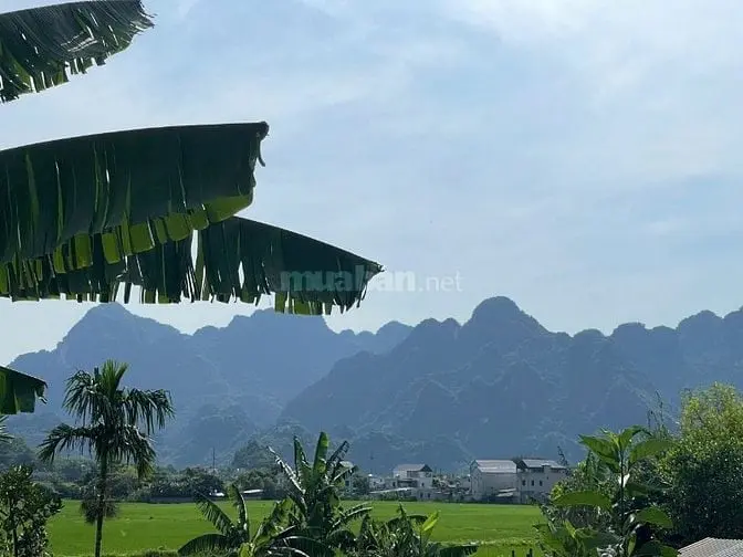 6036199 ảnh đại diện 1