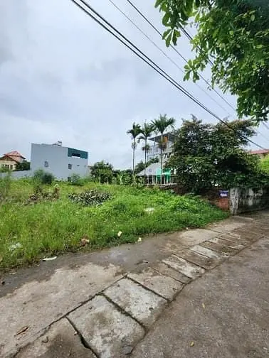 6036338 ảnh đại diện 1