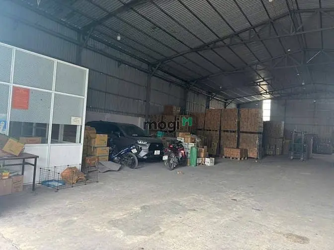 6036158 ảnh đại diện 1