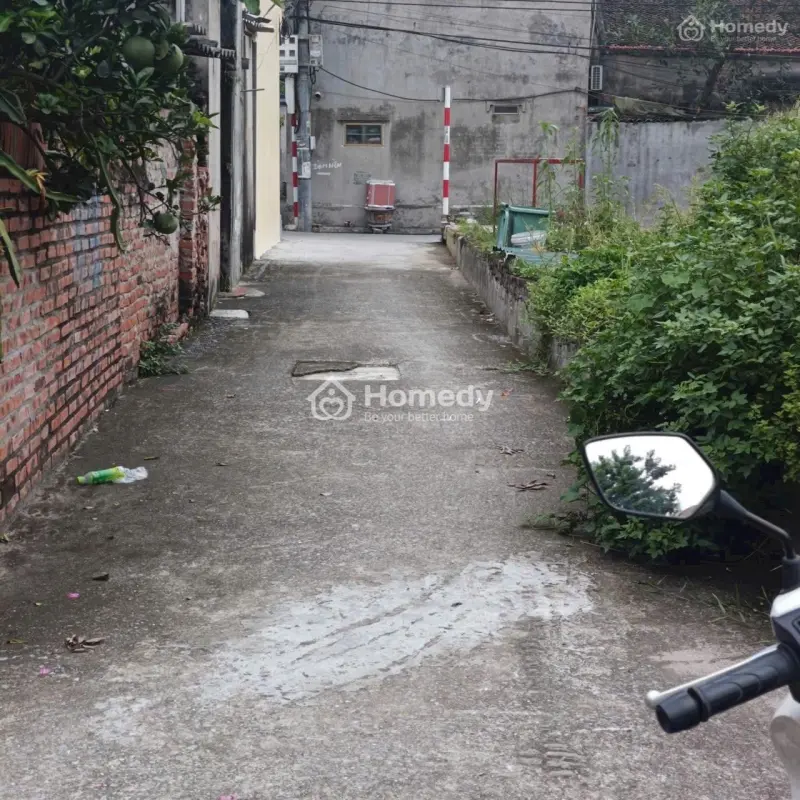 6036469 ảnh đại diện 1