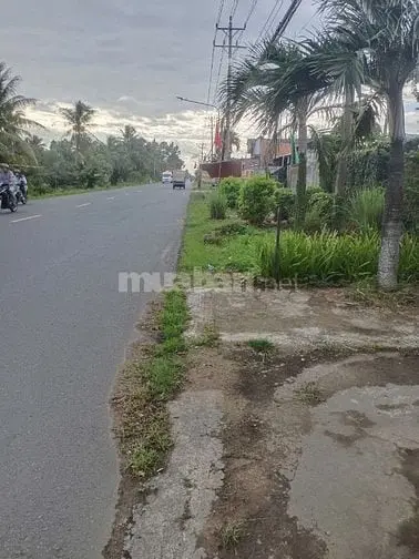 Bán Đất Xã Châu Hòa, Huyện Giồng Trôm, Tỉnh Bến Tre