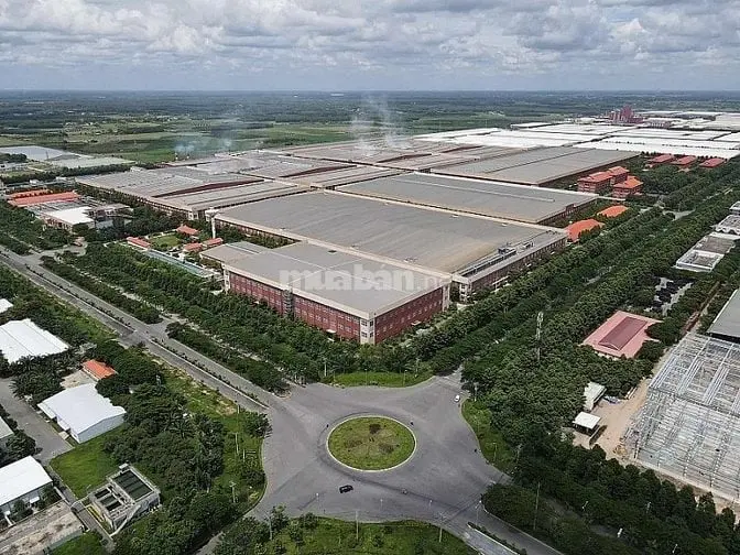 Bán Đất Shr,200M2 Sát Kcn Phước Đông, Đường Nhựa Thông,480Tr,Tây Ninh