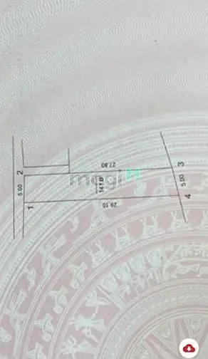 6036069 ảnh đại diện 1